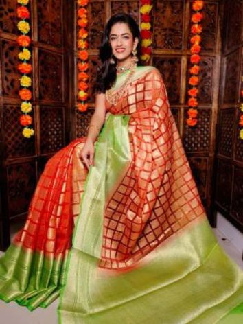 Organza Silk Saree for Wedding Season