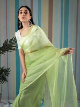 30+ Trending Organza Saree Designs