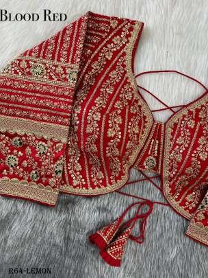 Attractive Red Wedding Heavy Embroidery Bridal Work Blouse