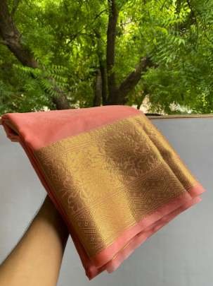 Banarasi Kora Organza Dyeable Skirt Border Saree
