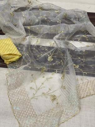 Beautiful Bollywood Style Embroidery Work Organza Saree