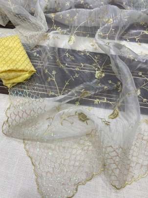 Beautiful Bollywood Style Embroidery Work Organza Saree