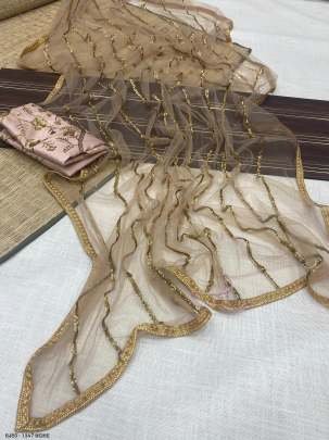 Beige Colored Net Embroidered Saree With Mono Net Worked Blouse Piece Material