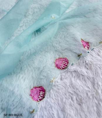 Blue Beautiful Handcraft Organza Saree With Silk Blouse