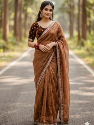Brown Classic Festive Wear Saree with Elegant Border
