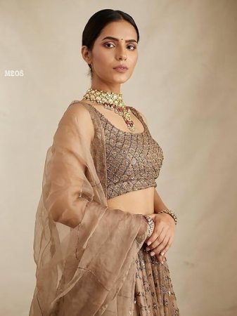 Brown Designer Sequin Work Lehenga Set