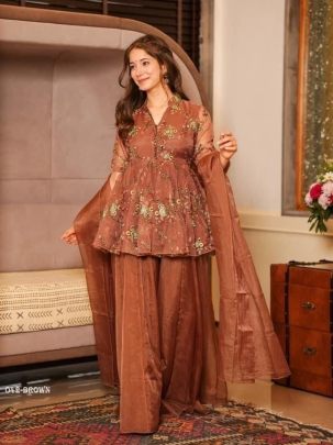 Brown Embroidered Organza Palazo Suits