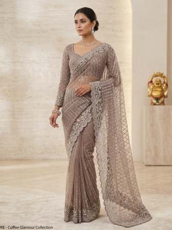 Designer Beige Colour Hand Work Saree