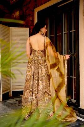 Digital Printed Oragnza  Anarkali Brown Color Gown