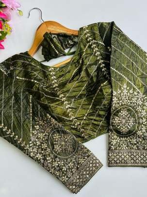 Embroidery Work Pista Colour Full Sleves Blouse