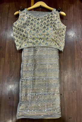 Ethereal Glow Soft Butterfly Net Saree