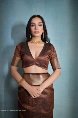 Exclusive Brown Soft Banarasi raw silk saree with zari lining pattern