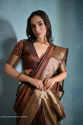 Exclusive Brown Soft Banarasi raw silk saree with zari lining pattern