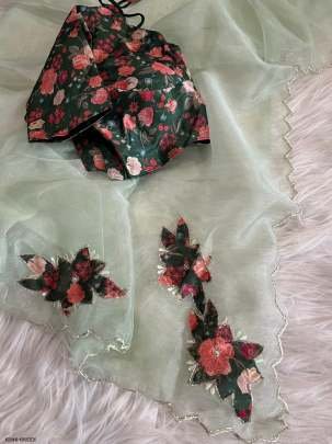 Exclusive Pista Handwork Crystal Organza Saree