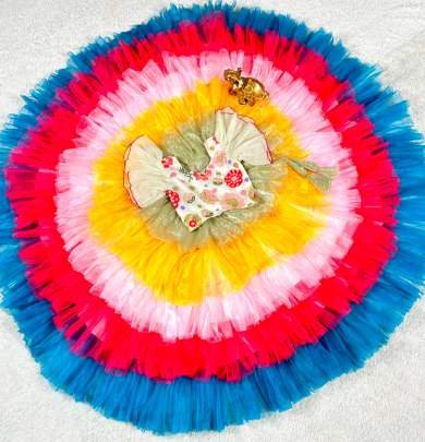Exclusive Rainbow Shiny Nett Frill Lehenga Choli