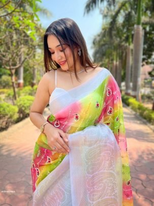 Fancy Printed Organza Weaving Border Saree