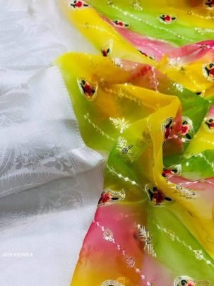 Fancy Printed Organza Weaving Border Saree