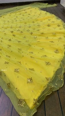Haldi Special Double Layer Sequence Yellow Lehenga