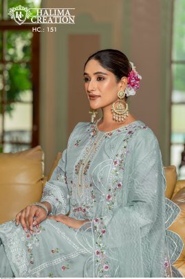 Halima Creation 151 Delightful Organza Kurti Set