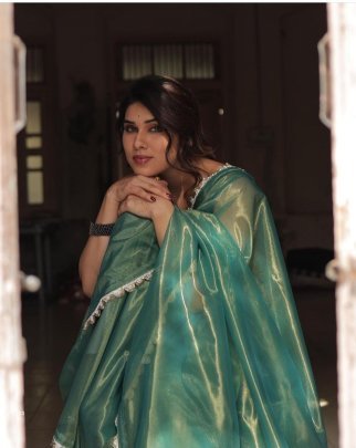 HandWork HOTFIX Lace With Embroidery Lace Border Tissue Silk Saree