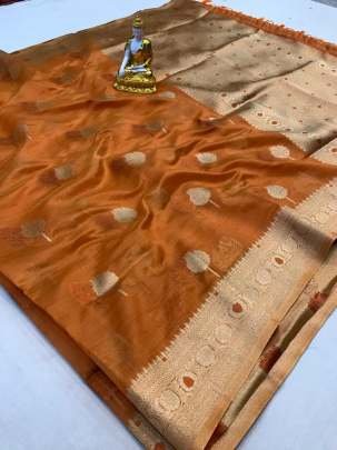 Ladies Beautiful Zari Thread Work Organza Silk Saree