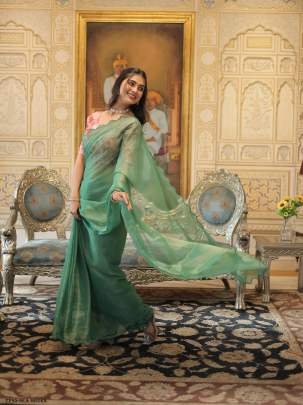 Latest Collection Sea Green Gold Coin Saree