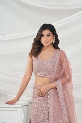 Latest Pink Soft Net Embroidery Work Lehenga Choli