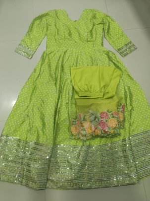 Light Green Chinon Silk Embroidery Sequence Work Gown
