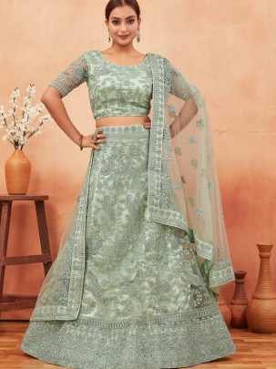 Light Green Embroidered Work Net Lehenga choli