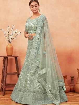 Light Green Embroidered Work Net Lehenga choli