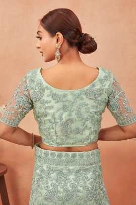 Light Green Embroidered Work Net Lehenga choli