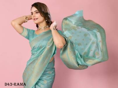 Luxurious Soft Dola Silk Rama Color Saree with Ornate Design