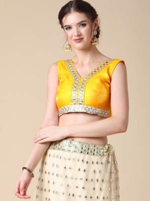 Multi Colored Butterfly Net Mirror Work Lehenga Choli