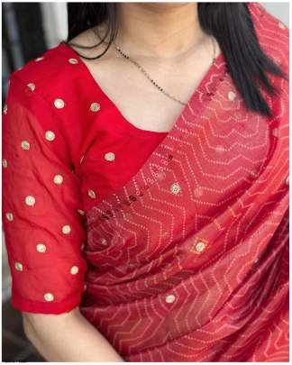 Nirmala Beautiful Print With Hand Zari Booti Works Organza Saree