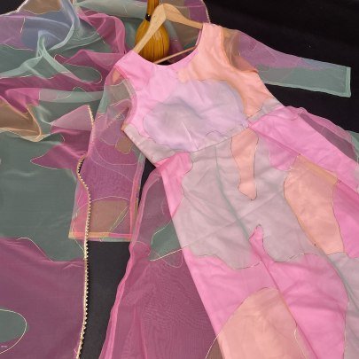 Organza Silk Heavy  With Digital Print And Handwork Full Sleeve gown