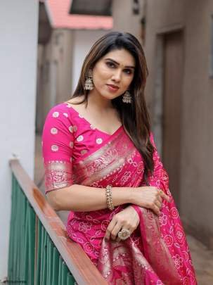 Pink Pushpavati Soft Dola Silk Saree