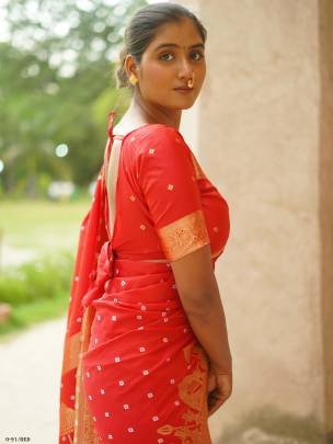 Premium Quality Bhandhej Work Red Saree