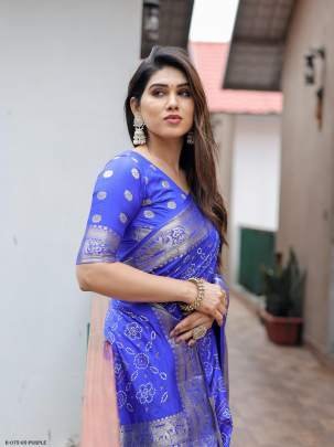 Purple Pushpavati Soft Dola Silk Saree