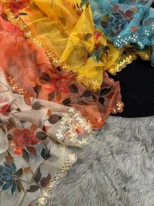 Rama Party Wear Handwork Pure Organza Saree