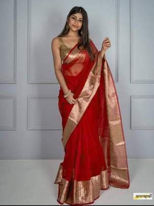 Red Banarasi Organza Kora Saree Dyeable Skirt Border