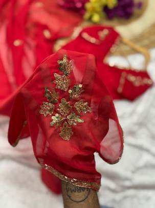 Red Handwork Soft Organza Saree