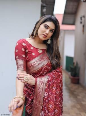 Red Pushpavati Soft Dola Silk Saree