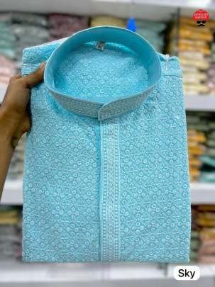 Sky Color Chikan Work Rayon Kurta Pyjama