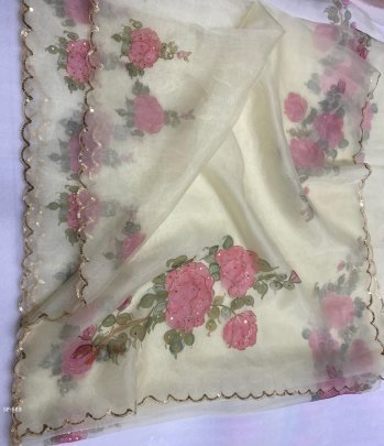 Soft Silk digital khatli work Pure Organza saree