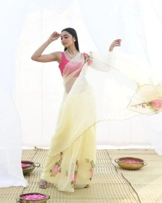 Soft Silk digital khatli work Pure Organza saree