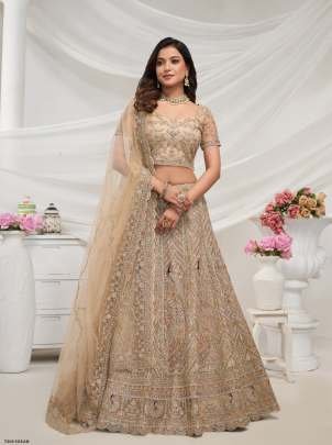 Special  Collection Cream Soft Net Embroidery Lehenga Choli