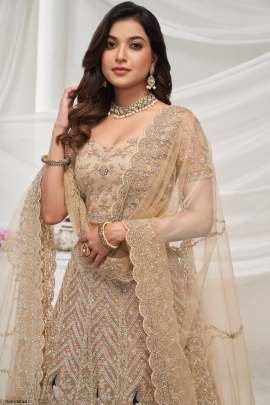 Special  Collection Cream Soft Net Embroidery Lehenga Choli