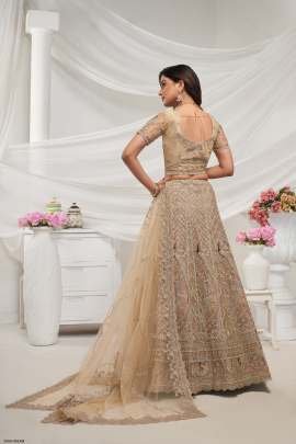 Special  Collection Cream Soft Net Embroidery Lehenga Choli