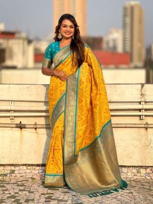 Traditional Meenakari Ikkat Weaves Patola Silk Saree