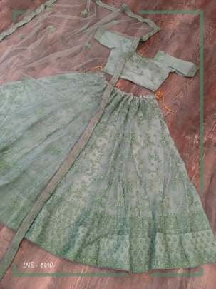 vaishanavi  embroidery work lehenga